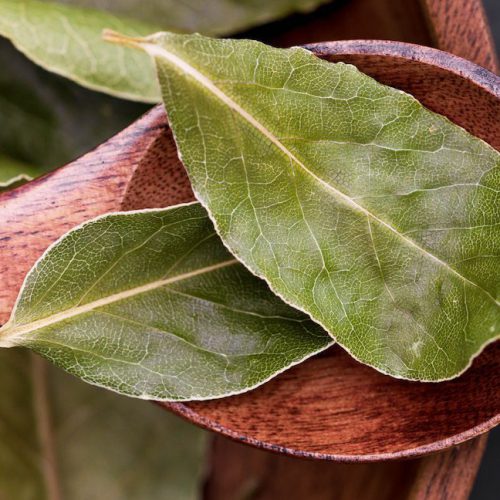 Photo by Victoria Bowers: https://www.pexels.com/photo/close-up-shot-of-bay-leaves-on-a-spoon-10487772/